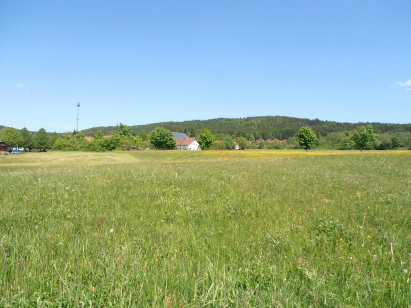 Hotel Gaisthaler Hof Schönsee Екстериор снимка