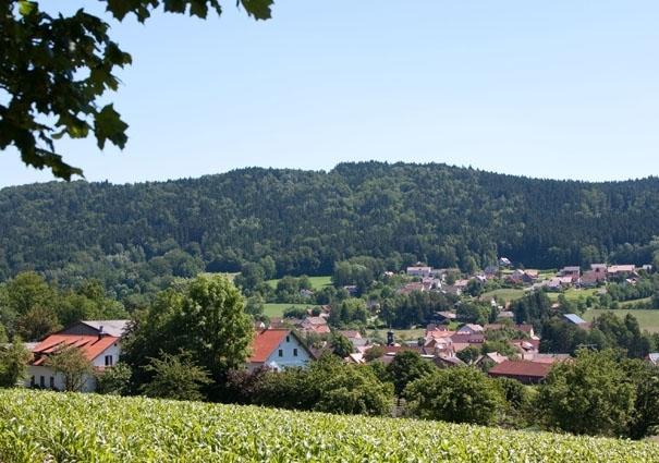 Hotel Gaisthaler Hof Schönsee Екстериор снимка